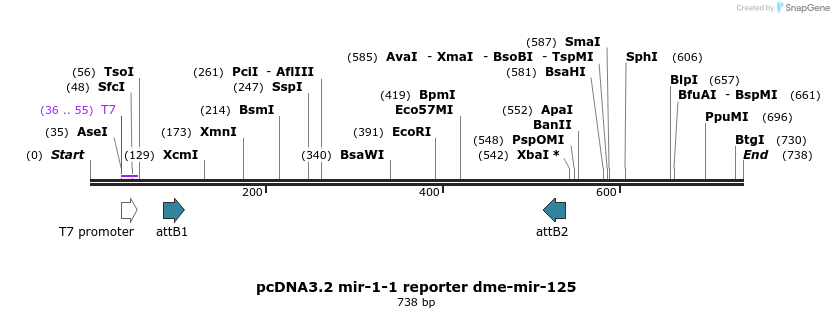 67903_map
