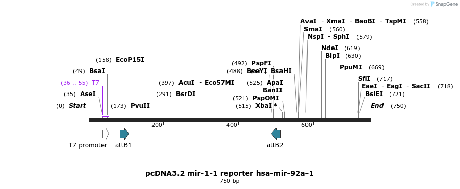 67912_map