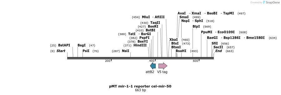 67914_map