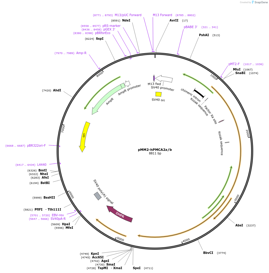 67919_map