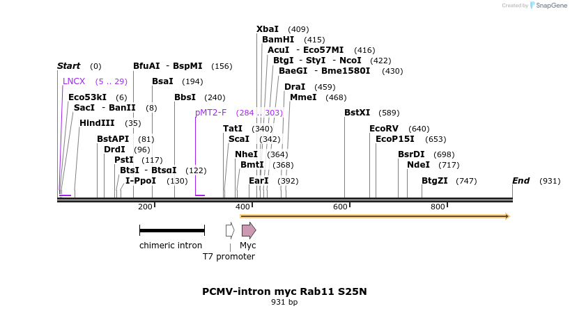 67932_map