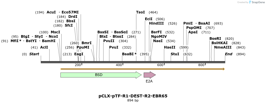 67943_map
