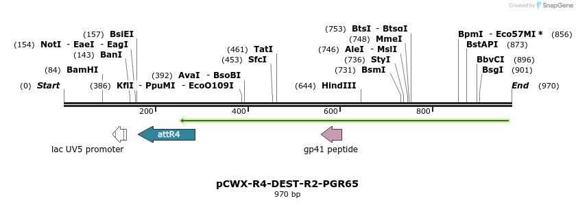 67948_map