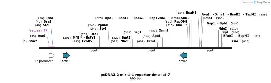 67957_map