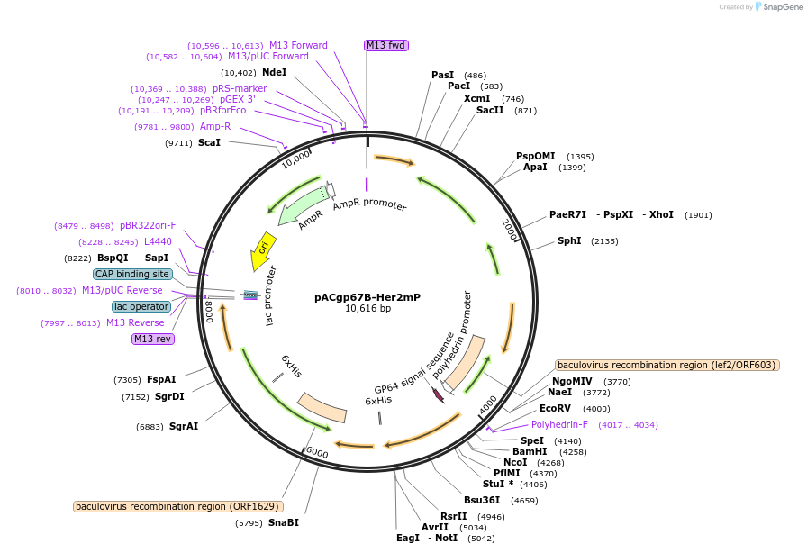 6796_map