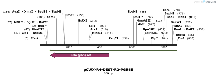 67964_map