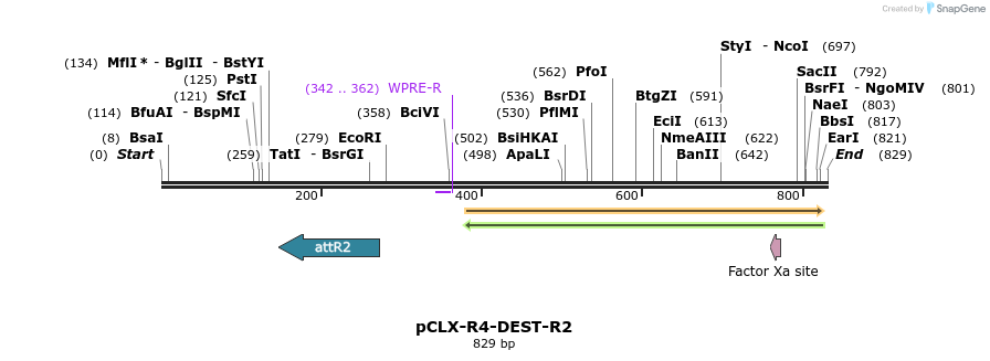 67968_map