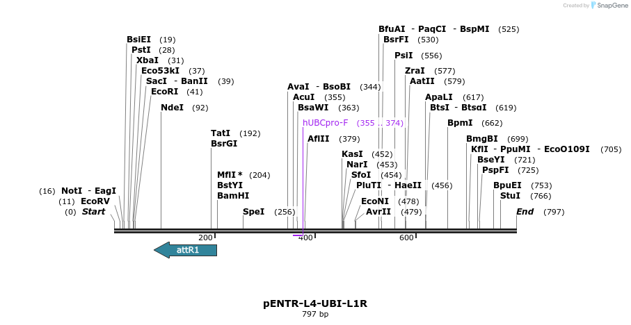 67971_map