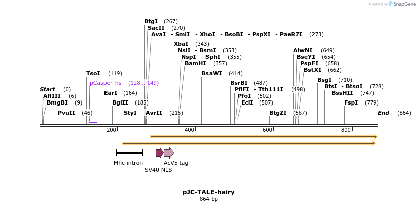 67974_map