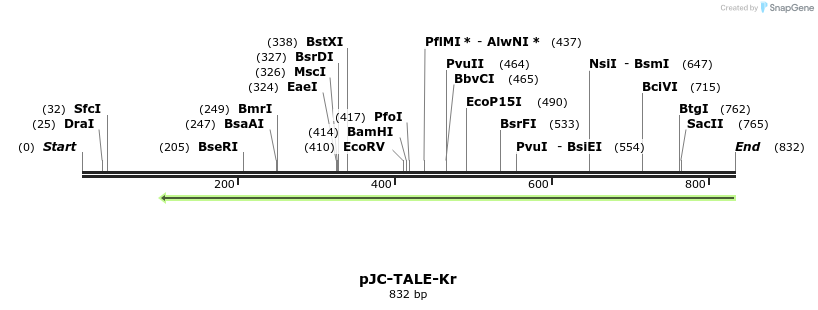 67978_map