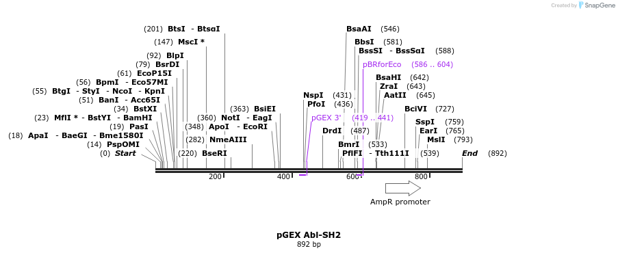 67980_map