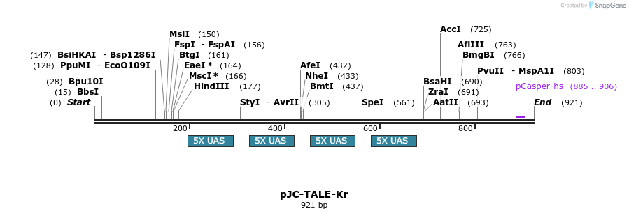 67981_map