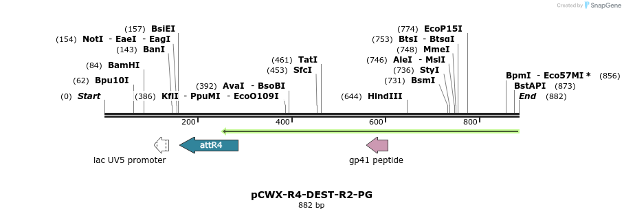 67990_map