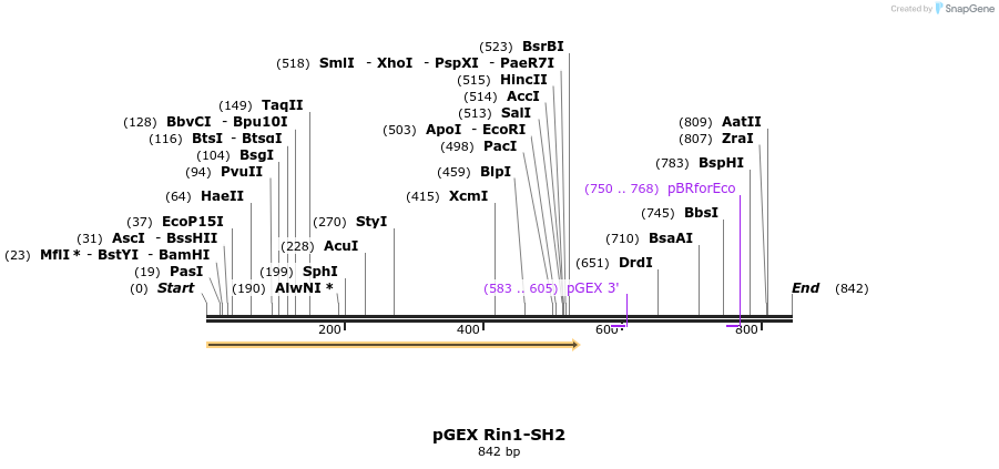 67996_map