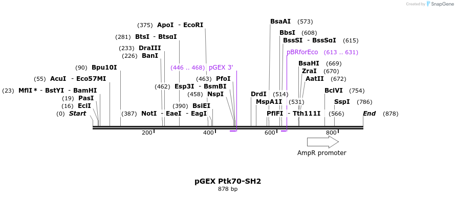 67999_map