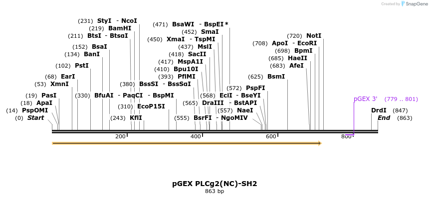 68001_map