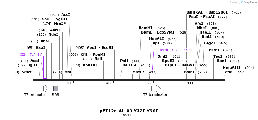 68016_map