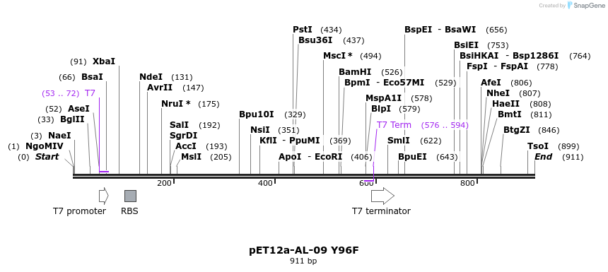 68021_map