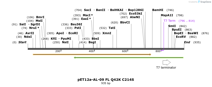 68027_map