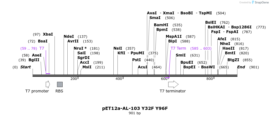 68033_map