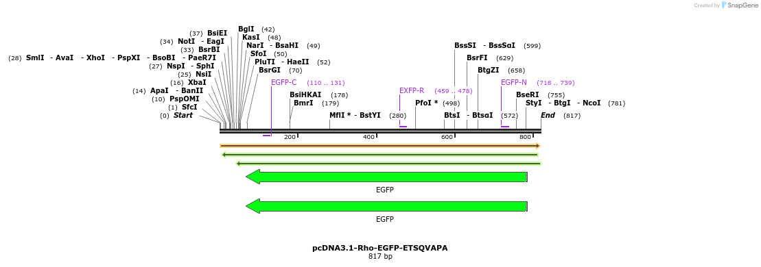 68035_map