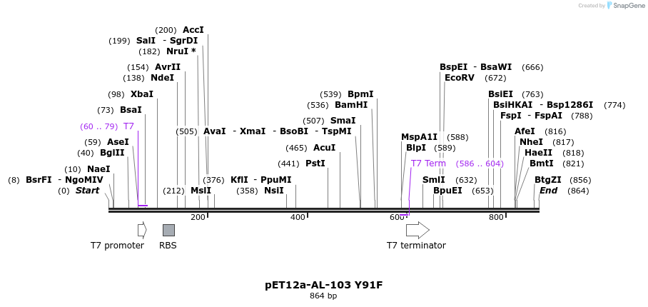68036_map