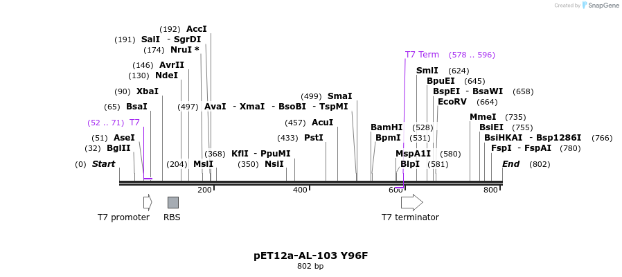 68037_map