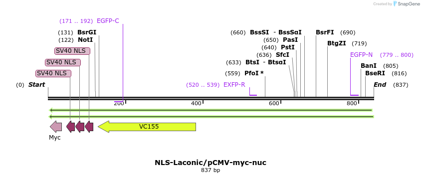 68038_map