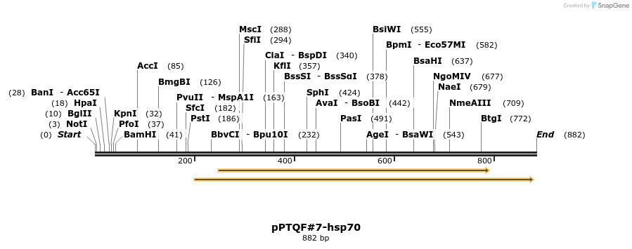 68051_map
