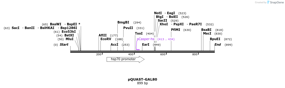 68053_map