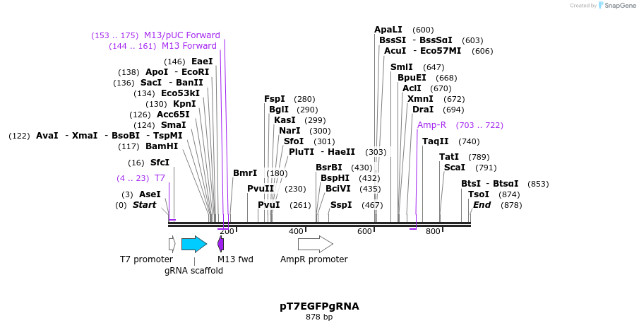 68054_map
