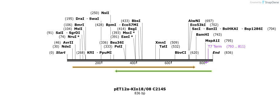 68056_map