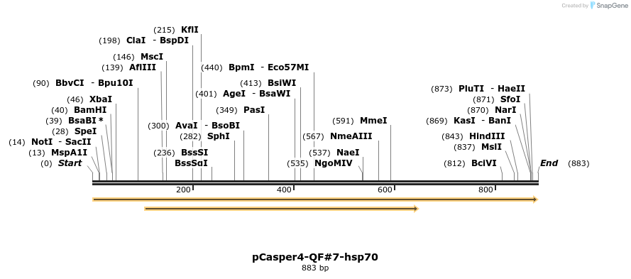 68057_map