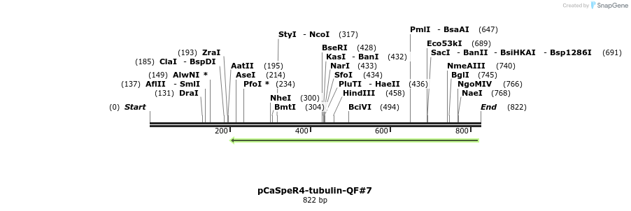 68060_map
