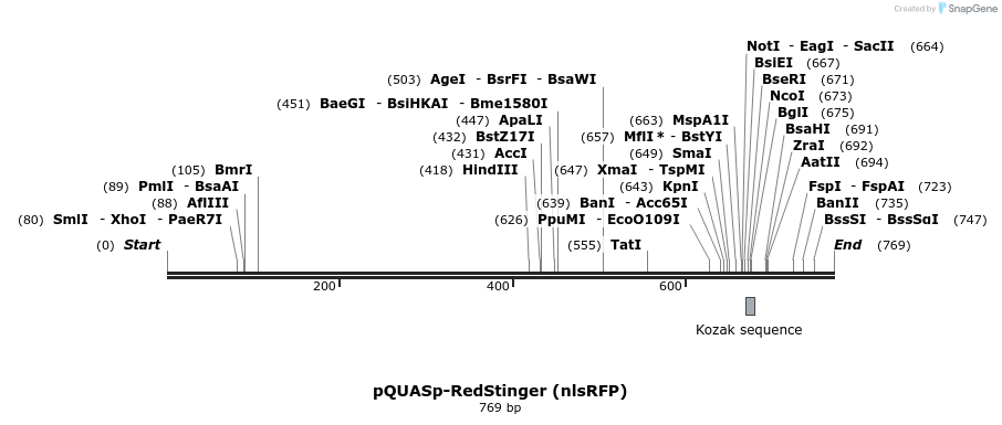 68061_map