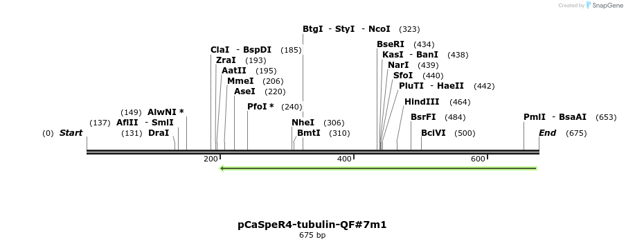 68063_map