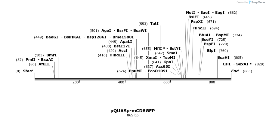 68064_map