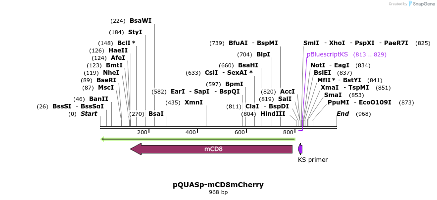 68066_map
