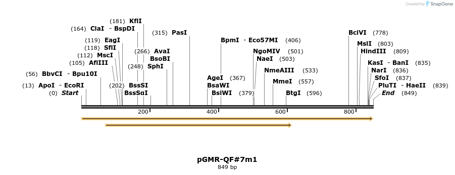 68068_map