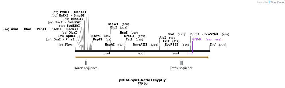 68070_map