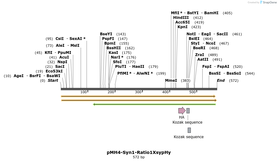 68071_map