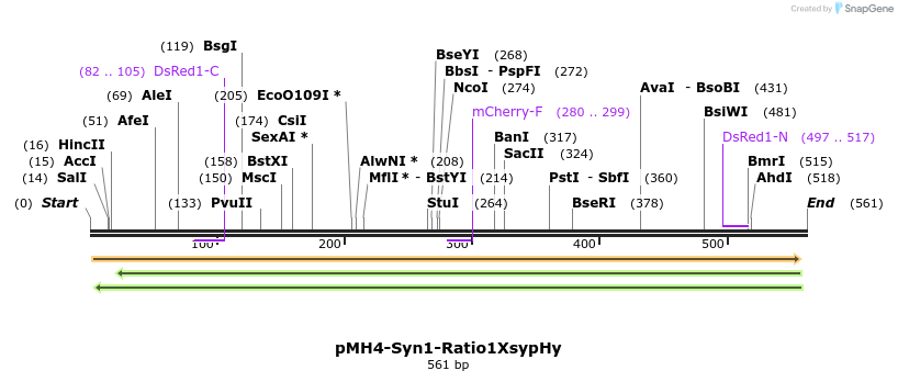 68072_map