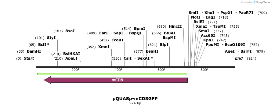 68075_map