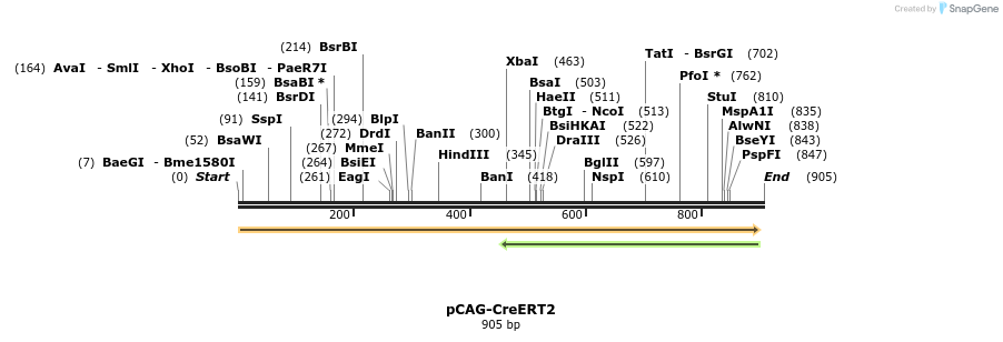 68078_map