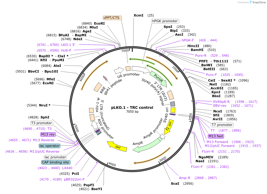 6808_map