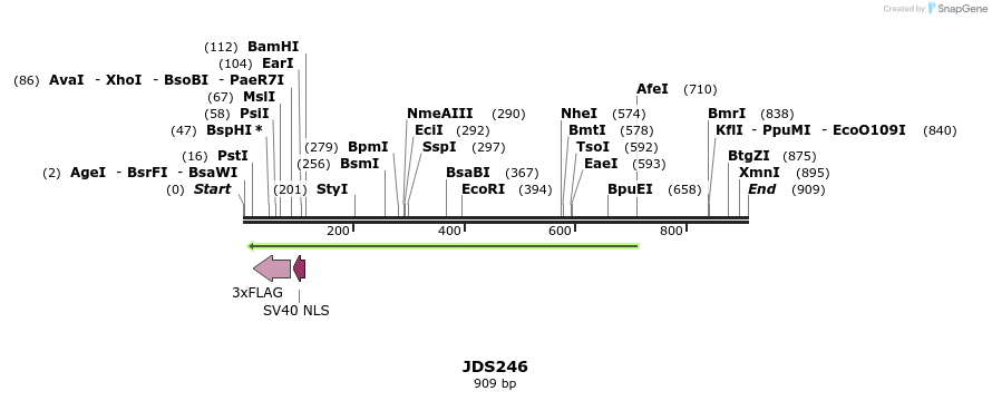68080_map