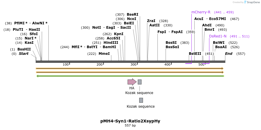 68089_map