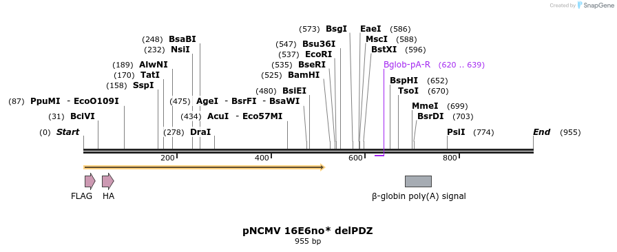 68093_map