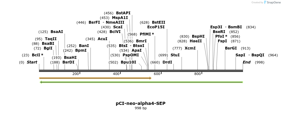 68102_map