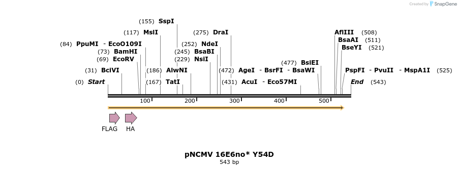 68105_map